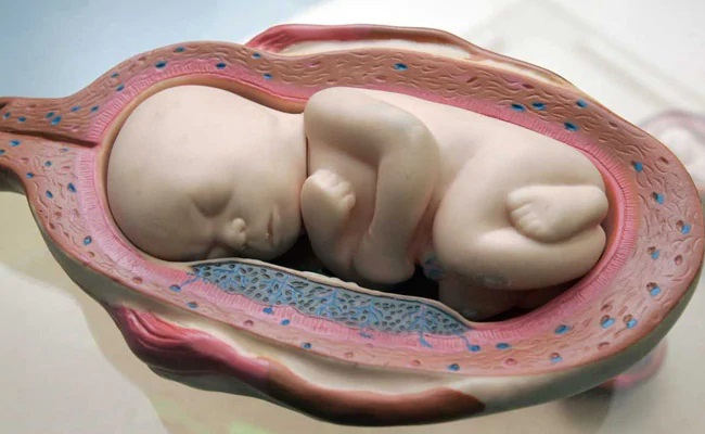 The chinese hospital has denied its involvement to have created genetically edited babies