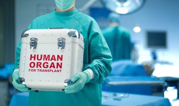 The ultimate research goal is to grow human organs inside live animals as a way to resolve the crisis of organ transplantation