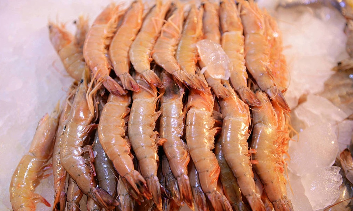 shrimp 01