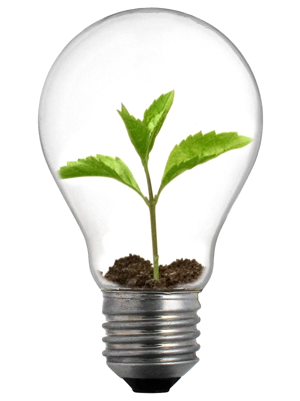 Venture capital light bulb 编辑