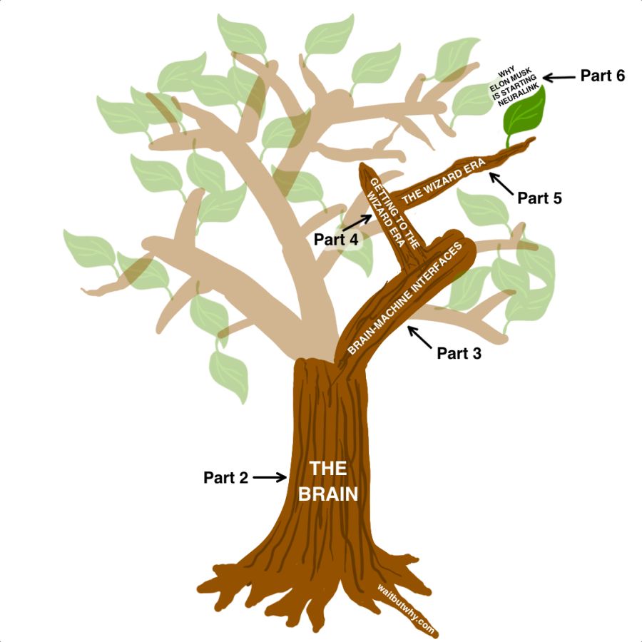 Brain tree 1